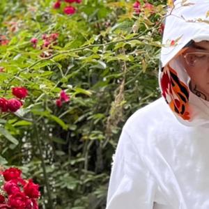 日本系列第一页
